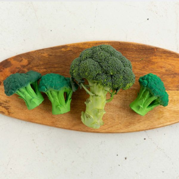 Mordedor Brucy The Broccoli