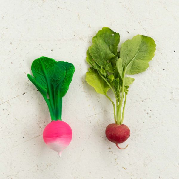 Mordedor Ramona the Radish