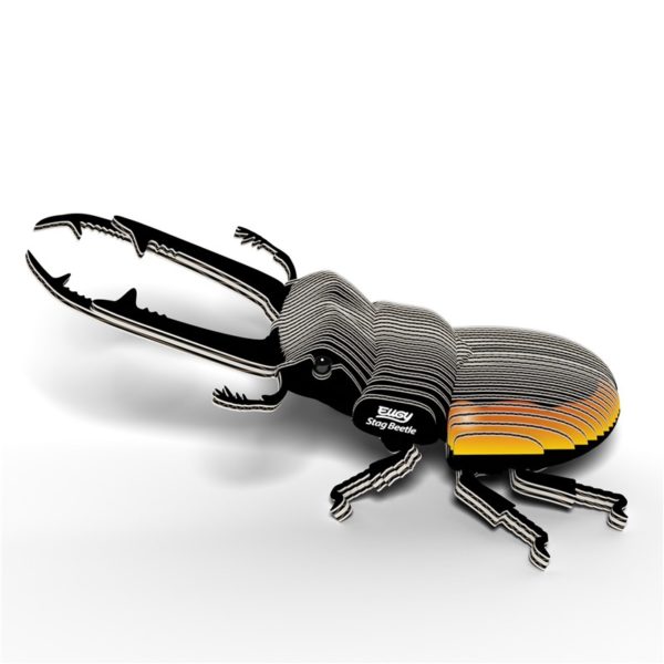 Eugy Stag Beetle