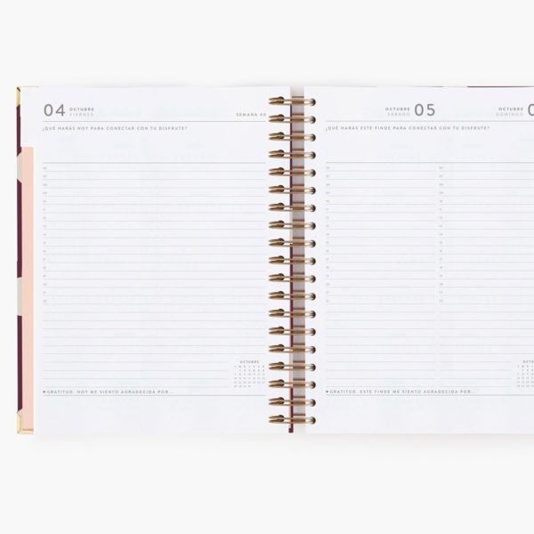 Agenda Escolar Diaria Cherry Grande