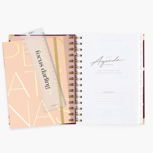 Agenda Escolar Diaria Cherry Mediana