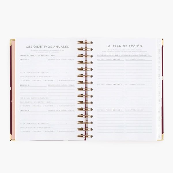 Agenda Escolar Diaria Cherry Mediana