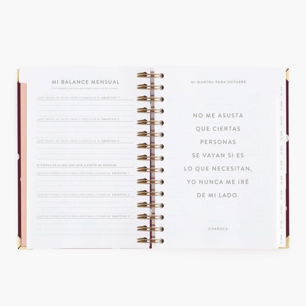 Agenda Escolar Diaria Cherry Mediana