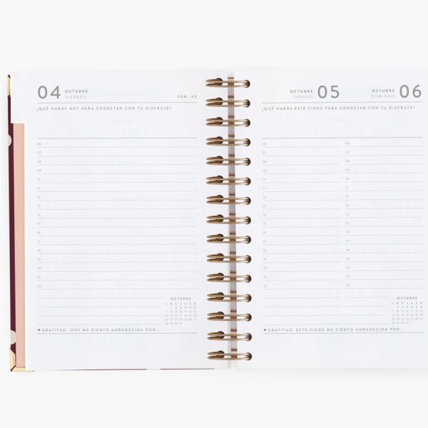 Agenda Escolar Diaria Cherry Mediana