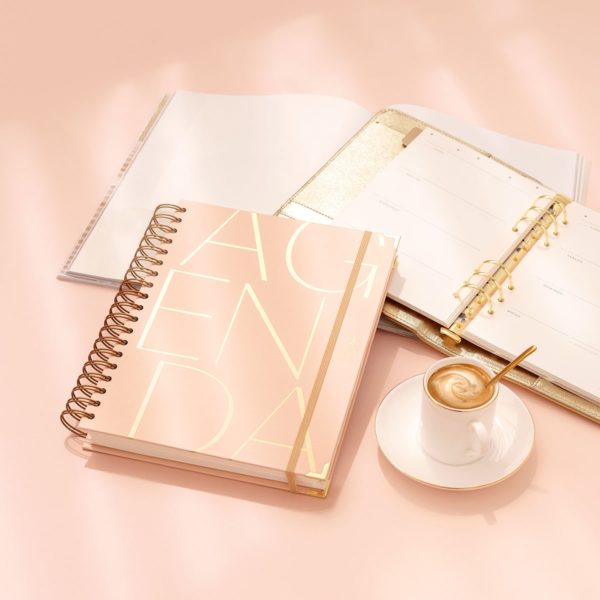 Agenda Escolar Diaria Pink Grande