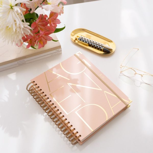 Agenda Escolar Diaria Pink Grande