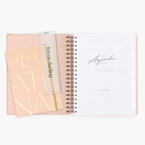 Agenda Escolar Diaria Pink Grande