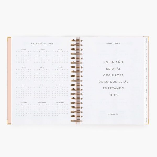 Agenda Escolar Diaria Pink Grande