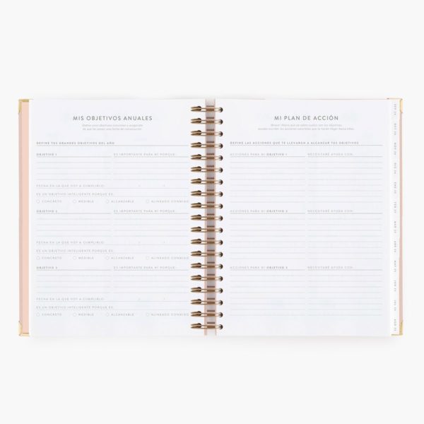 Agenda Escolar Diaria Pink Grande