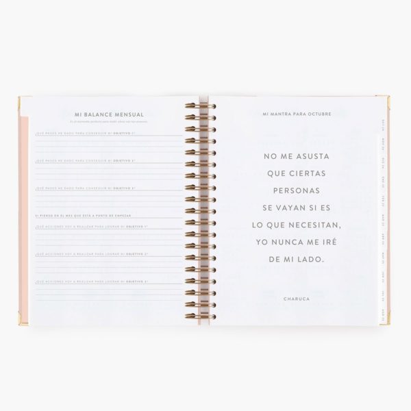 Agenda Escolar Diaria Pink Grande