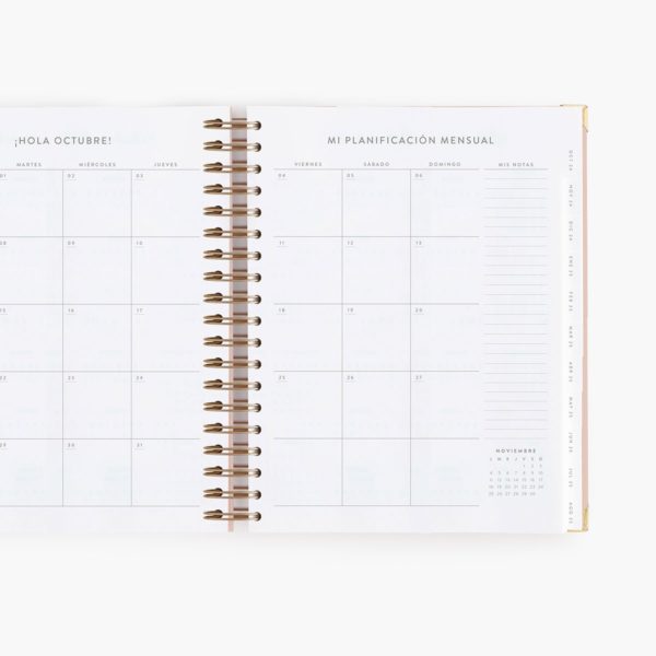 Agenda Escolar Diaria Pink Grande