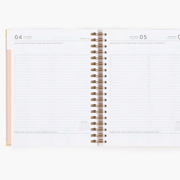 Agenda Escolar Diaria Pink Grande