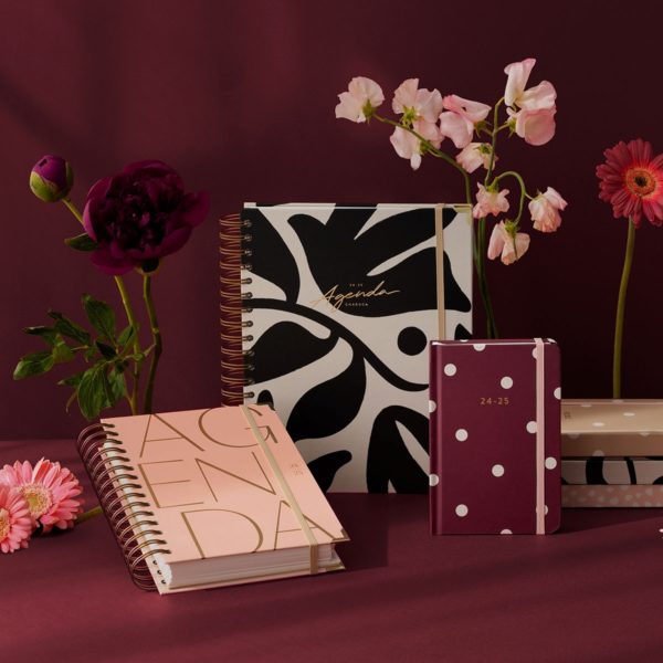 Agenda Escolar Diaria Pink Mediana