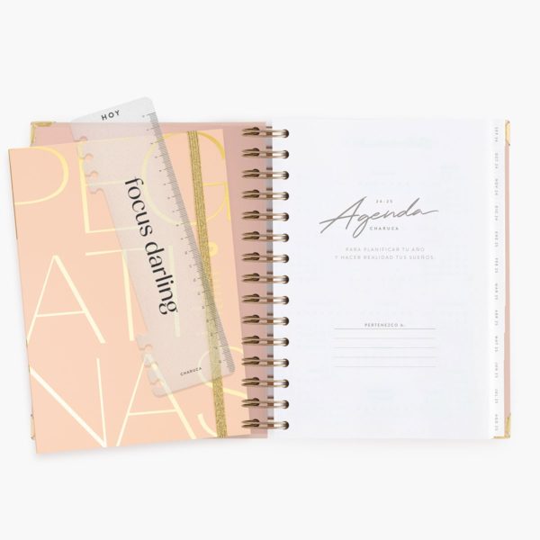 Agenda Escolar Diaria Pink Mediana