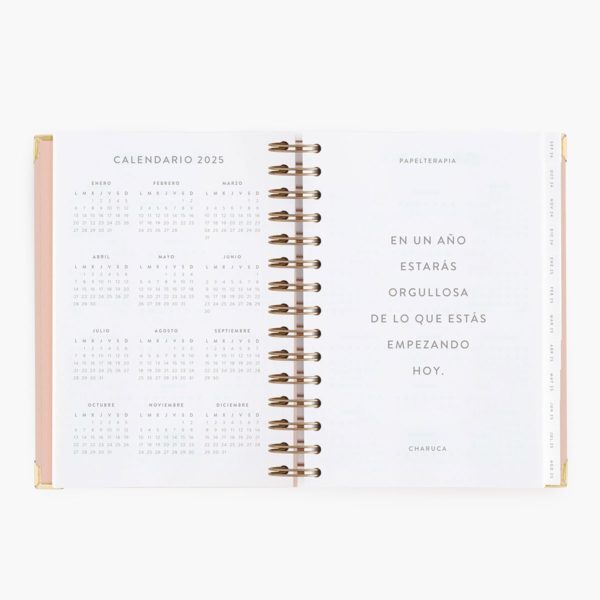 Agenda Escolar Diaria Pink Mediana