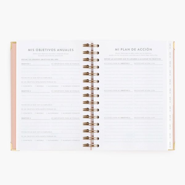 Agenda Escolar Diaria Pink Mediana