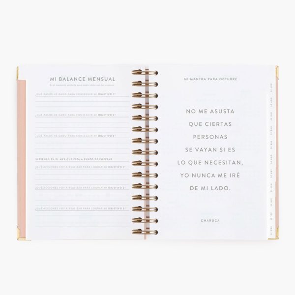 Agenda Escolar Diaria Pink Mediana