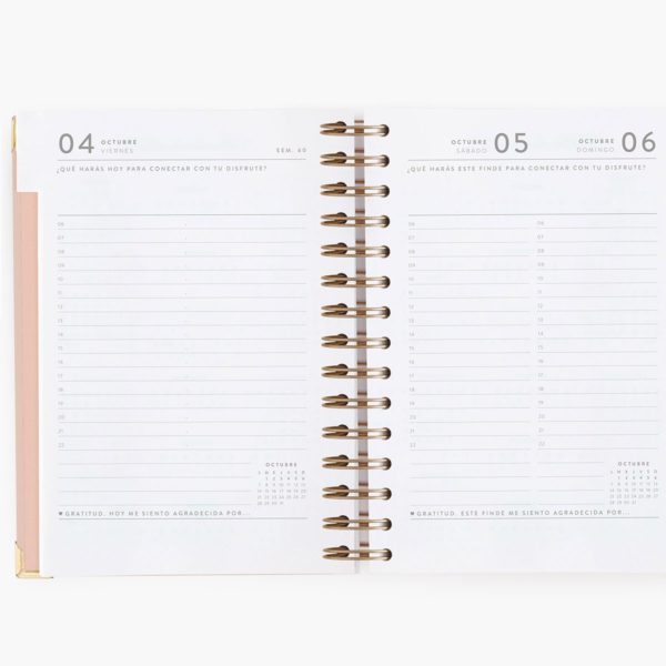 Agenda Escolar Diaria Pink Mediana