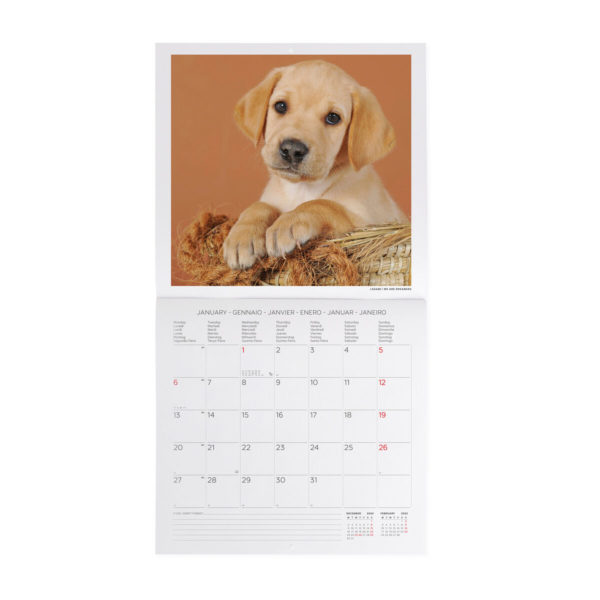 Calendario de Pared 2025-Puppies