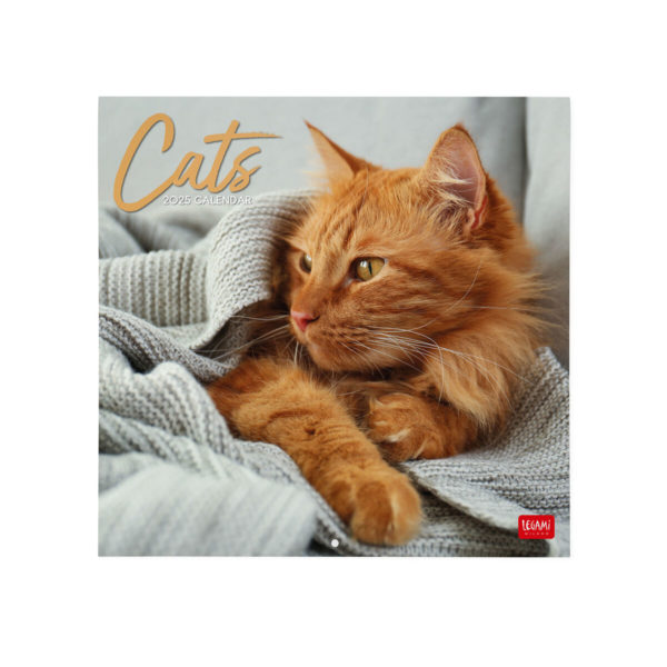 Calendario de Pared 2025.-Cats