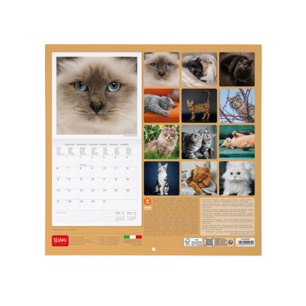 Calendario de Pared 2025.-Cats