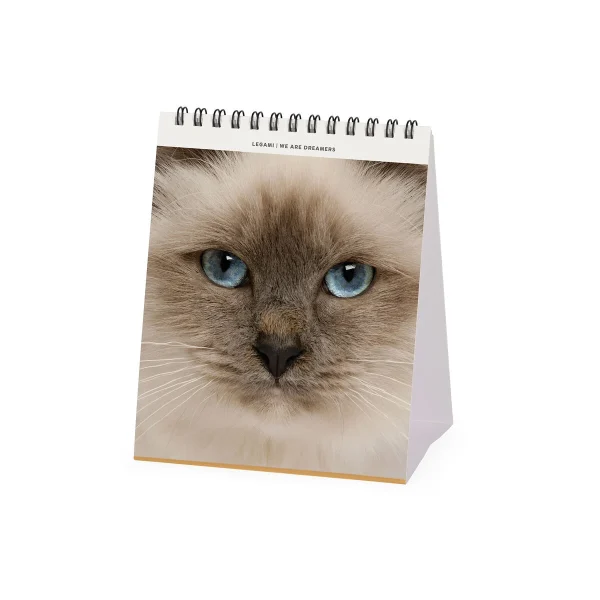 Calendario de Mesa 2025 -Cats