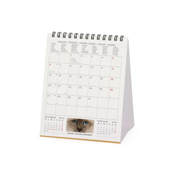 Calendario de Mesa 2025 -Cats