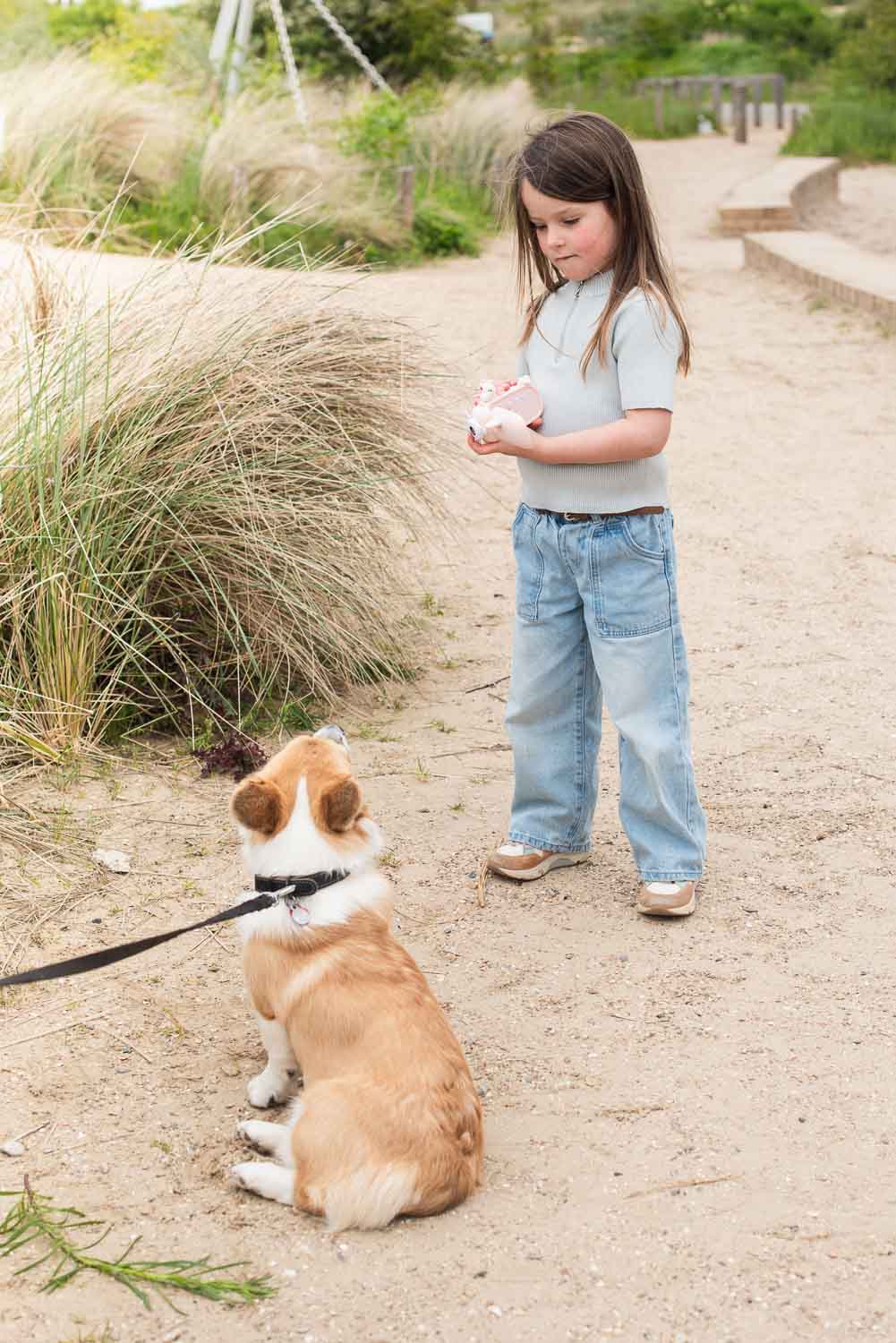 Zoo Video - Unicorn - Imagen 4