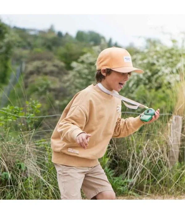 Zoo Walkie Talkie- Dino Green