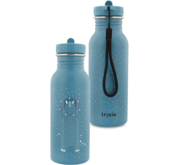 Botella de Acero Inoxidable 500ml Mr Triceratops de Trixie sobre fondo blanco